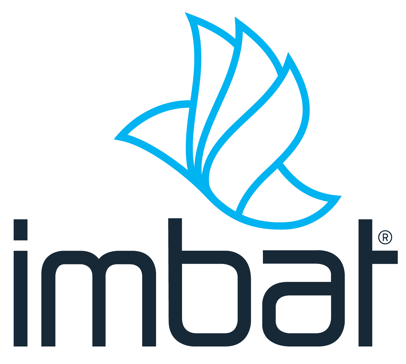 IMBAT logo